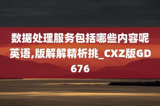 数据处理服务包括哪些内容呢英语,版解解精析挑_CXZ版GD676