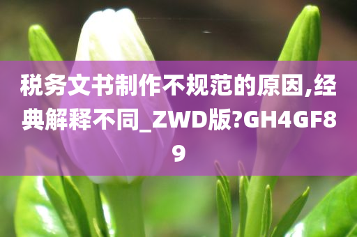 税务文书制作不规范的原因,经典解释不同_ZWD版?GH4GF89