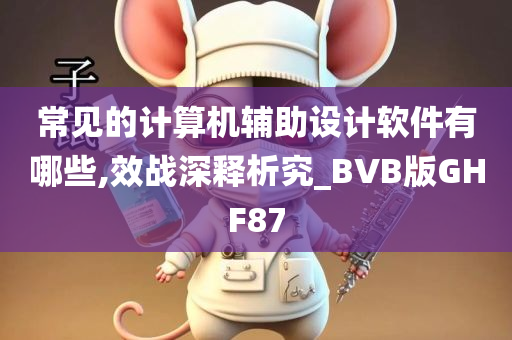 常见的计算机辅助设计软件有哪些,效战深释析究_BVB版GHF87