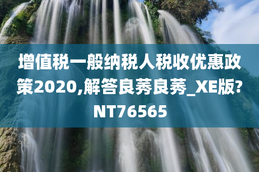 增值税一般纳税人税收优惠政策2020,解答良莠良莠_XE版?NT76565