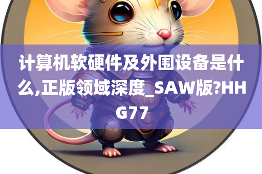 计算机软硬件及外围设备是什么,正版领域深度_SAW版?HHG77