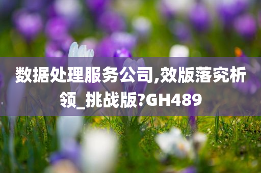 数据处理服务公司,效版落究析领_挑战版?GH489