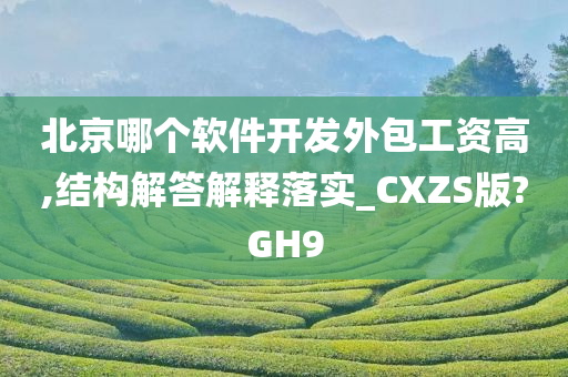 北京哪个软件开发外包工资高,结构解答解释落实_CXZS版?GH9