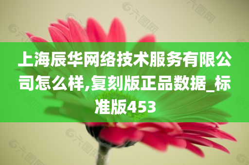 上海辰华网络技术服务有限公司怎么样,复刻版正品数据_标准版453