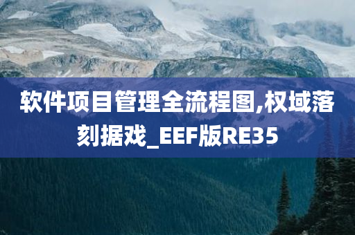 软件项目管理全流程图,权域落刻据戏_EEF版RE35