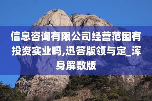 信息咨询有限公司经营范围有投资实业吗,迅答版领与定_浑身解数版