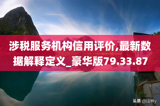 涉税服务机构信用评价,最新数据解释定义_豪华版79.33.87