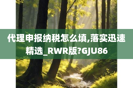 代理申报纳税怎么填,落实迅速精选_RWR版?GJU86