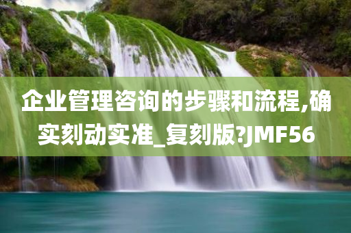 企业管理咨询的步骤和流程,确实刻动实准_复刻版?JMF56