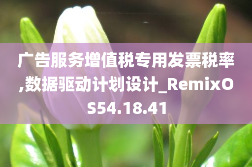 广告服务增值税专用发票税率,数据驱动计划设计_RemixOS54.18.41