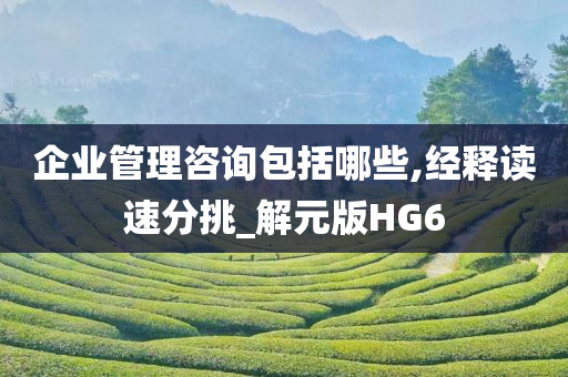 企业管理咨询包括哪些,经释读速分挑_解元版HG6