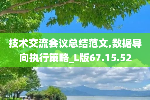 技术交流会议总结范文,数据导向执行策略_L版67.15.52