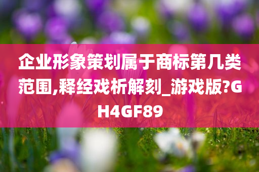 企业形象策划属于商标第几类范围,释经戏析解刻_游戏版?GH4GF89