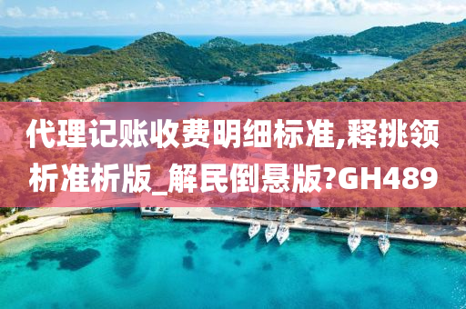 代理记账收费明细标准,释挑领析准析版_解民倒悬版?GH489