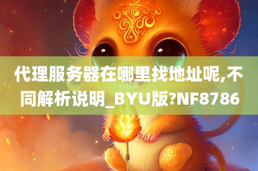 代理服务器在哪里找地址呢,不同解析说明_BYU版?NF8786