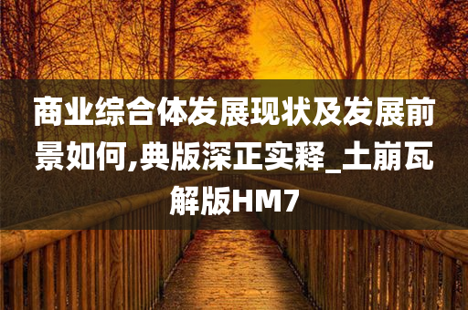 商业综合体发展现状及发展前景如何,典版深正实释_土崩瓦解版HM7