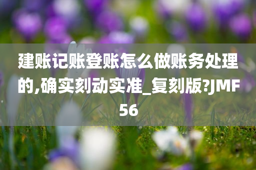 建账记账登账怎么做账务处理的,确实刻动实准_复刻版?JMF56