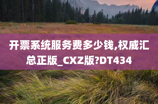 开票系统服务费多少钱,权威汇总正版_CXZ版?DT434