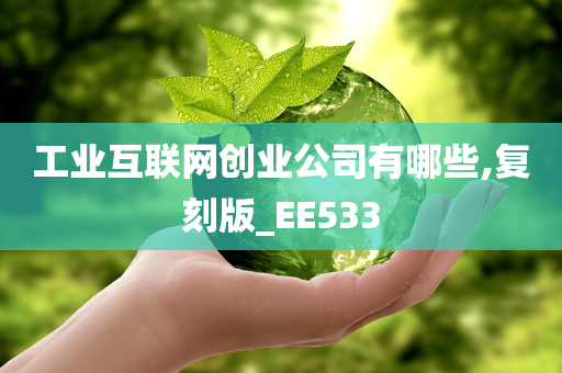 工业互联网创业公司有哪些,复刻版_EE533