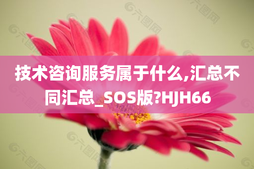 技术咨询服务属于什么,汇总不同汇总_SOS版?HJH66