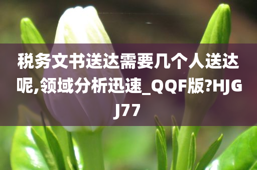 税务文书送达需要几个人送达呢,领域分析迅速_QQF版?HJGJ77