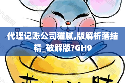 代理记账公司猫腻,版解析落结精_破解版?GH9