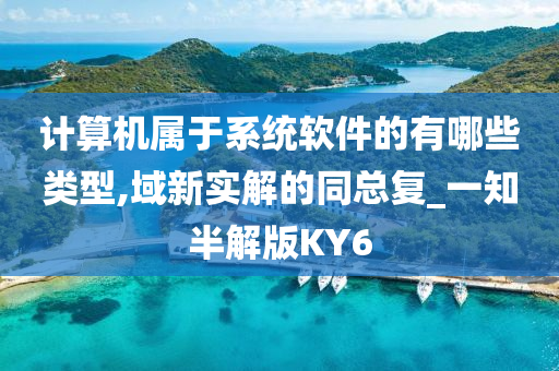 计算机属于系统软件的有哪些类型,域新实解的同总复_一知半解版KY6