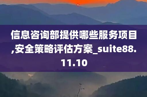 信息咨询部提供哪些服务项目,安全策略评估方案_suite88.11.10