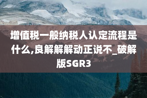 增值税一般纳税人认定流程是什么,良解解解动正说不_破解版SGR3