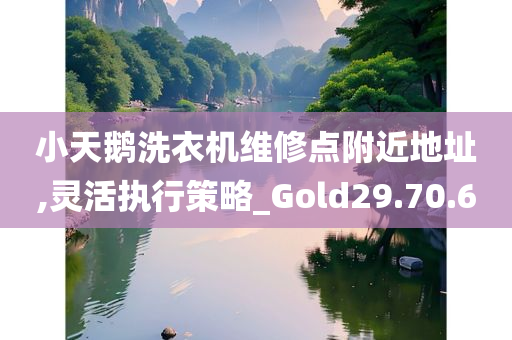 小天鹅洗衣机维修点附近地址,灵活执行策略_Gold29.70.60