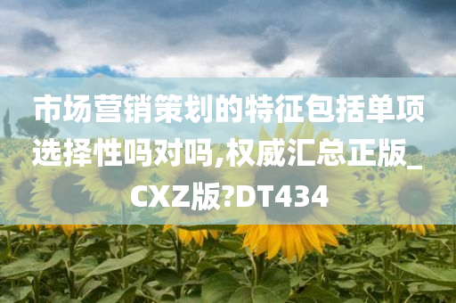 市场营销策划的特征包括单项选择性吗对吗,权威汇总正版_CXZ版?DT434