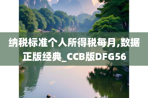 纳税标准个人所得税每月,数据正版经典_CCB版DFG56