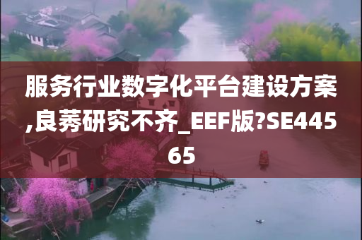 服务行业数字化平台建设方案,良莠研究不齐_EEF版?SE44565