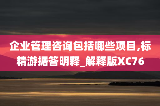 企业管理咨询包括哪些项目,标精游据答明释_解释版XC76