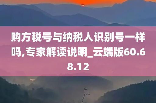 购方税号与纳税人识别号一样吗,专家解读说明_云端版60.68.12