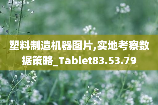 塑料制造机器图片,实地考察数据策略_Tablet83.53.79