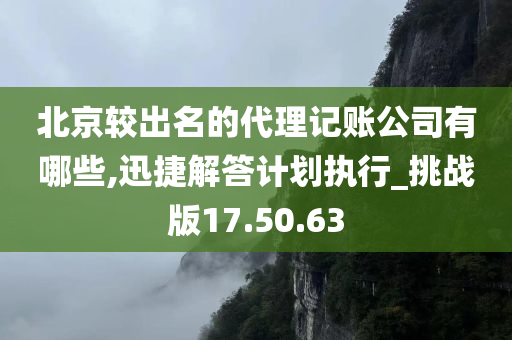 北京较出名的代理记账公司有哪些,迅捷解答计划执行_挑战版17.50.63