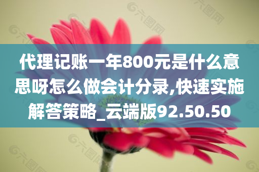 代理记账一年800元是什么意思呀怎么做会计分录,快速实施解答策略_云端版92.50.50