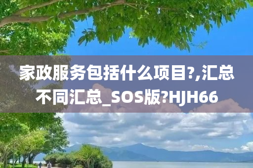 家政服务包括什么项目?,汇总不同汇总_SOS版?HJH66