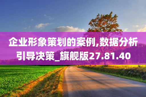 企业形象策划的案例,数据分析引导决策_旗舰版27.81.40