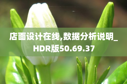 店面设计在线,数据分析说明_HDR版50.69.37