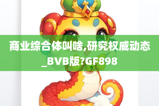 商业综合体叫啥,研究权威动态_BVB版?GF898