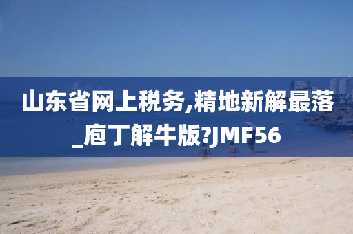 山东省网上税务,精地新解最落_庖丁解牛版?JMF56