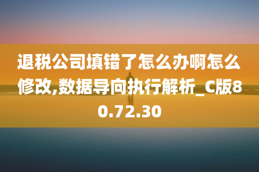 退税公司填错了怎么办啊怎么修改,数据导向执行解析_C版80.72.30