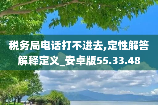 税务局电话打不进去,定性解答解释定义_安卓版55.33.48