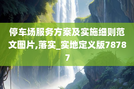 停车场服务方案及实施细则范文图片,落实_实地定义版78787