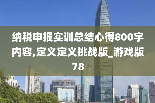 纳税申报实训总结心得800字内容,定义定义挑战版_游戏版78