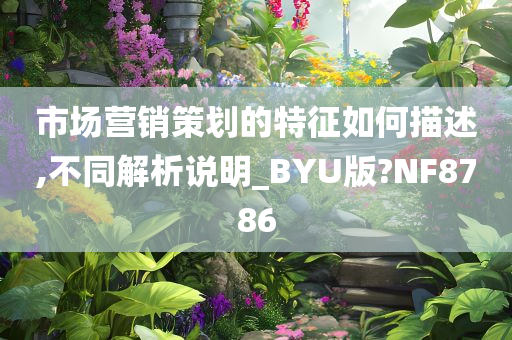 市场营销策划的特征如何描述,不同解析说明_BYU版?NF8786