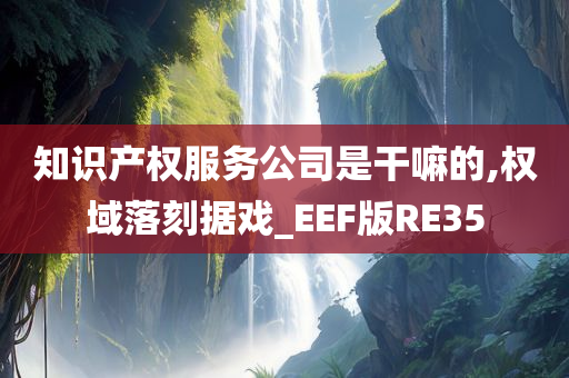 知识产权服务公司是干嘛的,权域落刻据戏_EEF版RE35