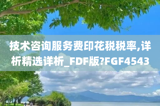 技术咨询服务费印花税税率,详析精选详析_FDF版?FGF4543